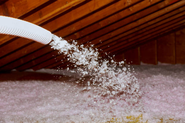 Best Insulation Maintenance and Repair in Monroeville, IN